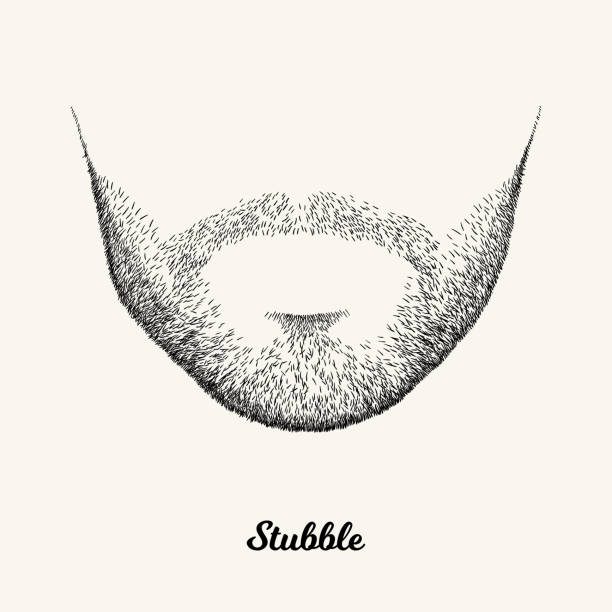 Male stubble Simple linear Illustration with fashionable men hairstyle. Contour vector background with isolated element for barber shop decor, prints, t-shirts, posters beard stock illustrations