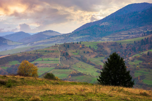 istock foggy morning in carpathian countryside 1283840351