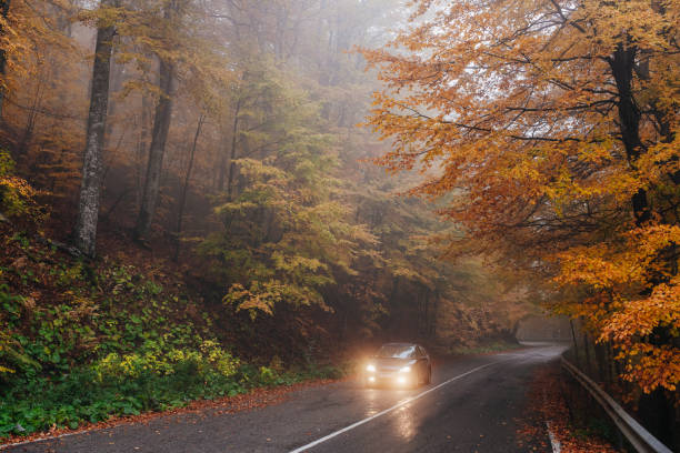 istock Car travelling on the road in beautiful autumn forest. 1283842796