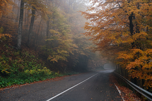 beautiful autumn forest on highway road in the mountains.