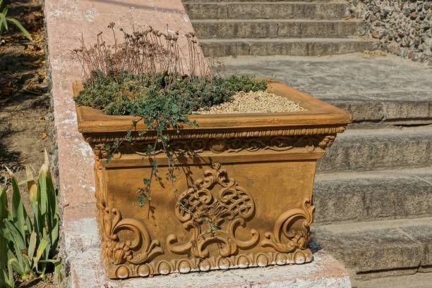istock old large brown flowerpot with green plants 1283843203