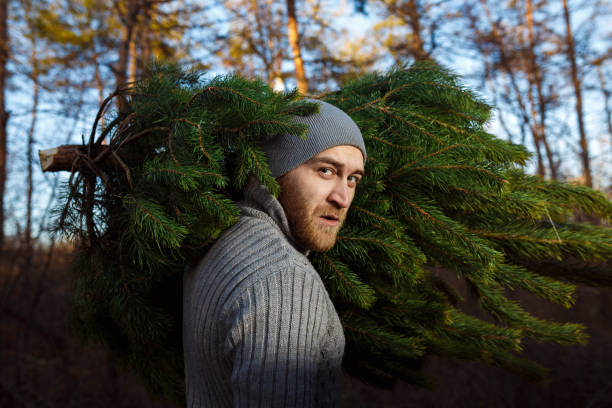 istock Young man is carrying christmas tree in the wood 1283845362