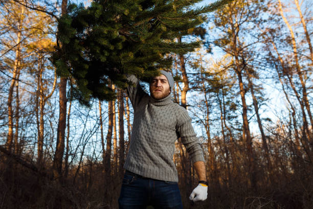 istock Young man is carrying christmas tree in the wood 1283845377