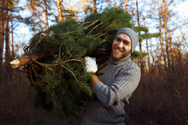junger mann trägt weihnachtsbaum im wald - zeitdieb fotos stock-fotos und bilder