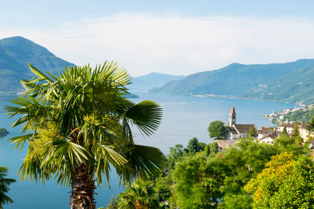 Church and Palm Tree over Alpine Lake Maggiore with Mountain stock photo