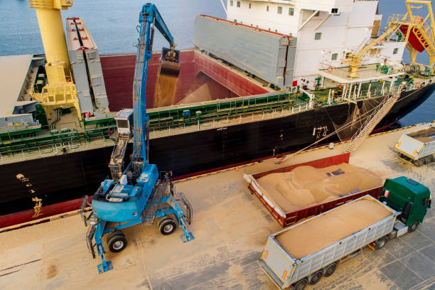 großes internationales transportschiff im hafen, verladung für den export in den meeren. - coal crane transportation cargo container stock-fotos und bilder