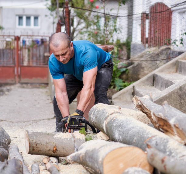 istock Farmer with chainsaw cutting wood 1283848852