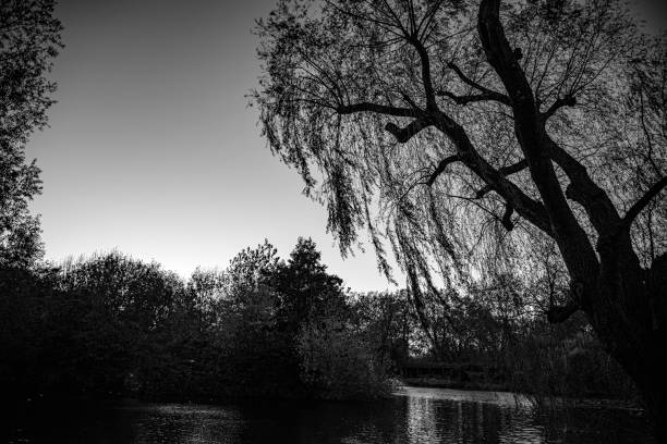 St James's Park, London, UK - Royal Park, Black & White Image