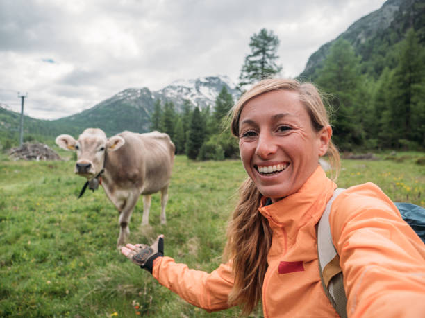 istock Happy woman having fun taking selfie with cow in meadow 1283851436