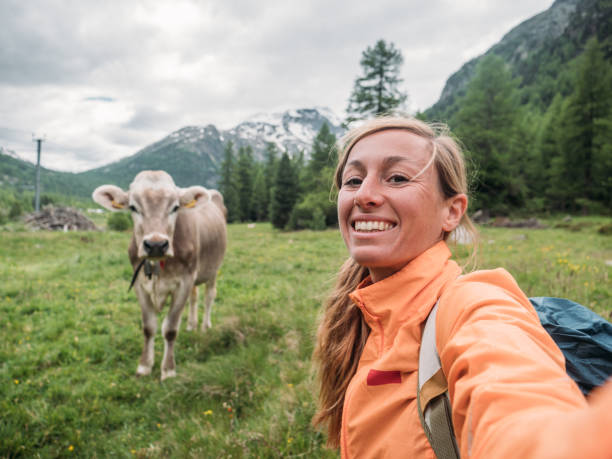 istock Happy woman having fun taking selfie with cow in meadow 1283851461