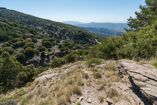Mountainous landscape in Sierra Nevada in southern Spain, there are trees, bushes and grass on the ground, there are rocks, the sky is clear