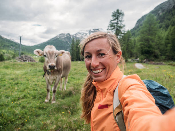 istock Happy woman having fun taking selfie with cow in meadow 1283851606