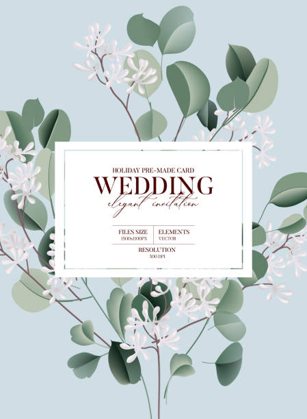 Watercolor eucalyptus floral plants green blue illustration, evergreen leaf branches collection. Garden bouquet, wedding invitation card. Tropical silver dollar branch design. Summer boho decor Watercolor eucalyptus floral plants green blue illustration, evergreen leaf branches collection. Garden bouquet, wedding invitation card. Tropical silver dollar branch design. Summer decor design succulent watercolor invitation stock illustrations