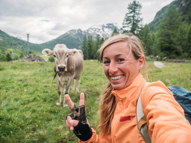 istock Happy woman having fun taking selfie with cow in meadow 1283852401
