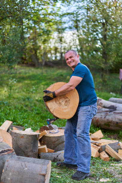 istock Lumberjack manhandling the beech logs 1283852788