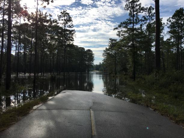 istock Flooded road with water moving through forest, covering access to bridge 1283855439