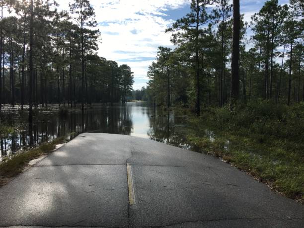 istock Flooded paved road with water moving through forest, covering access to bridge 1283855468
