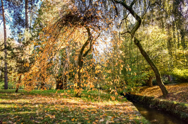 istock Autumn colour in Bournemouth gardens 1283856544
