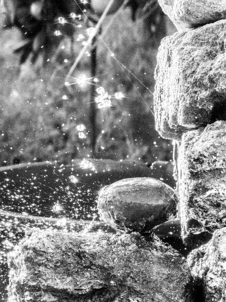 istock Orchard Agricultural Irrigation 1283856995