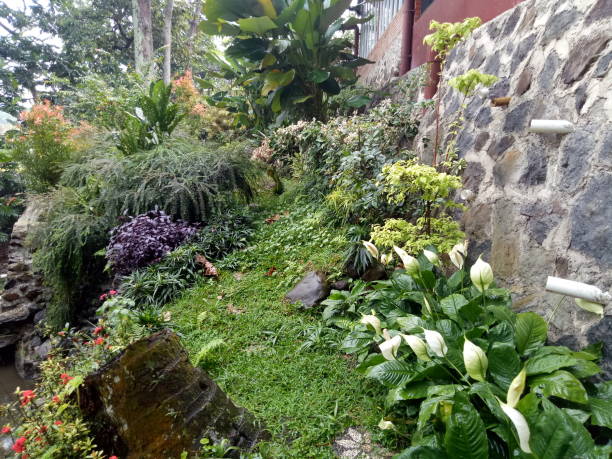 istock Garden and flowers 1283857376