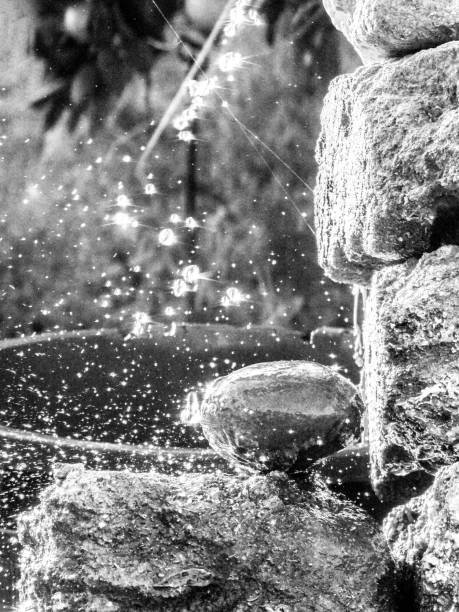 istock Orchard Agricultural Irrigation 1283858243