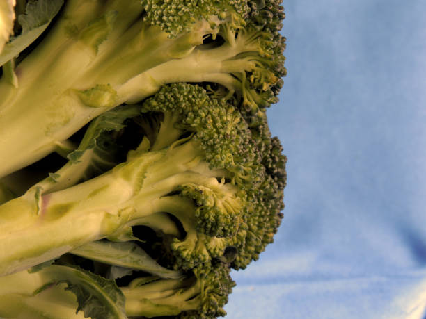 istock Broccoli natural foods for cooking 1283864148