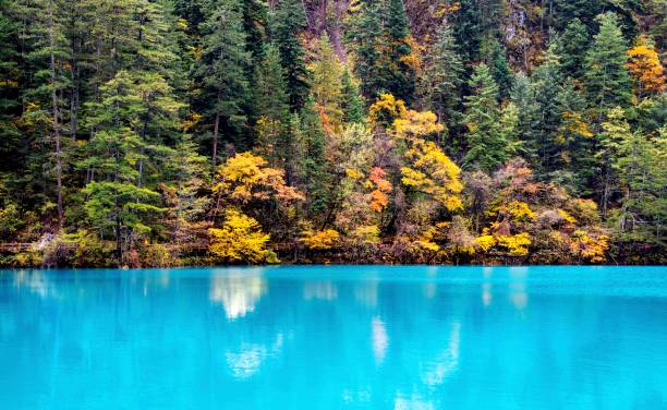 istock Beautiful forests and lakes in autumn 1283864273