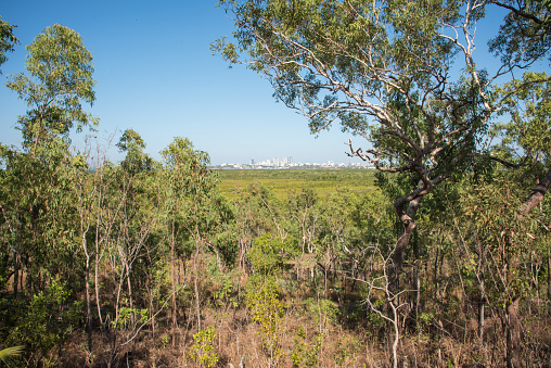 Scenic view into the urban skyline from a distant Charles Darwin National Park with lush greenery under a clear blue sky in Darwin, Australia