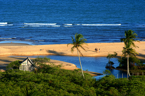 A beautiful Playa Hermosa beach in Costa Rica with lush trees in the background