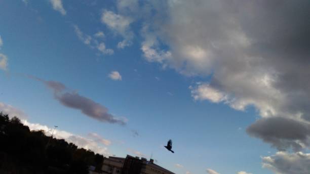 istock gloomy dark gray clouds in the sky 1283864847