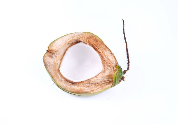 Green coconut isolated on white background