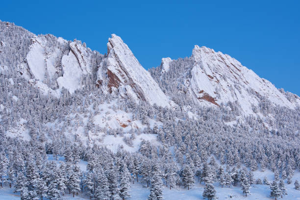 coníferas y flatirons con bandas de nieve - flocked fotografías e imágenes de stock