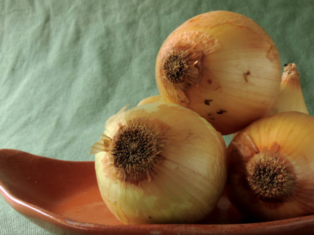 istock Onions, natural food for cooking 1283870035