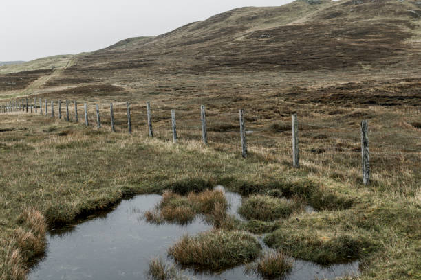 A pasture fence in East Burra, Shetland. A cloudy autumn day.