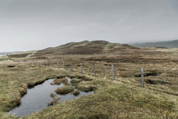 istock East Burra pasture fence in Shetland 1283871478