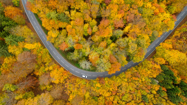 istock Road through autumnal forest - aerial view 1283873072