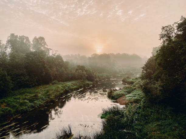 Barta river in Latvia in morning mist