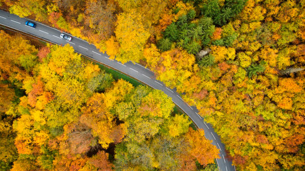 istock Road through autumnal forest - aerial view 1283873089