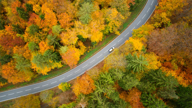 istock Road through autumnal forest - aerial view 1283873104