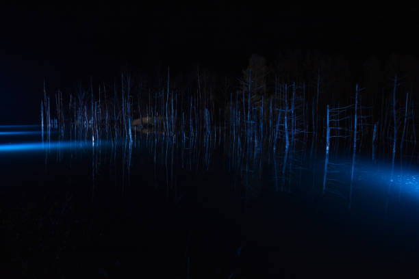 Illuminated fantastic autumn blue pond in Biei Illuminated fantastic autumn blue pond in Biei shirogane blue pond stock pictures, royalty-free photos & images