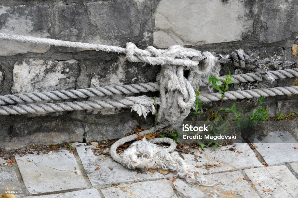 Navy knots on a rope at the mooring on the dock Architecture Stock Photo
