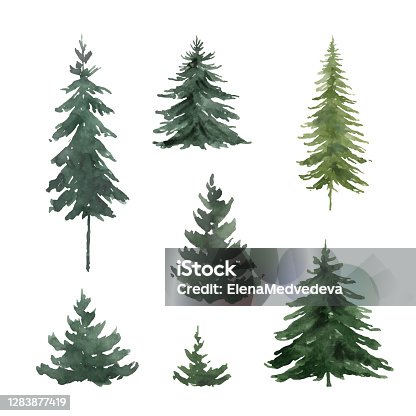 istock Watercolor vector set with green fir trees. Hand painted illustration for greeting floral postcard and invitations isolated on white 
background. 1283877419