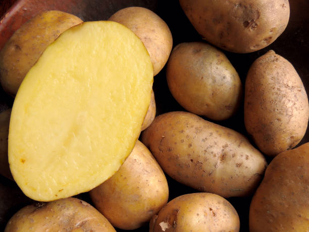 istock Potatoes, pure and natural food. 1283877481