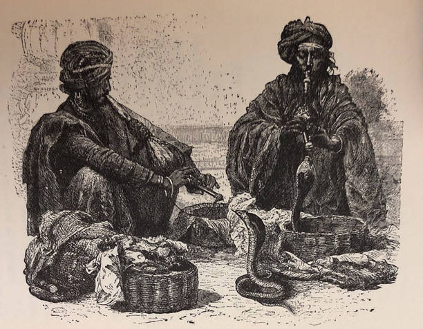 Antique illustration