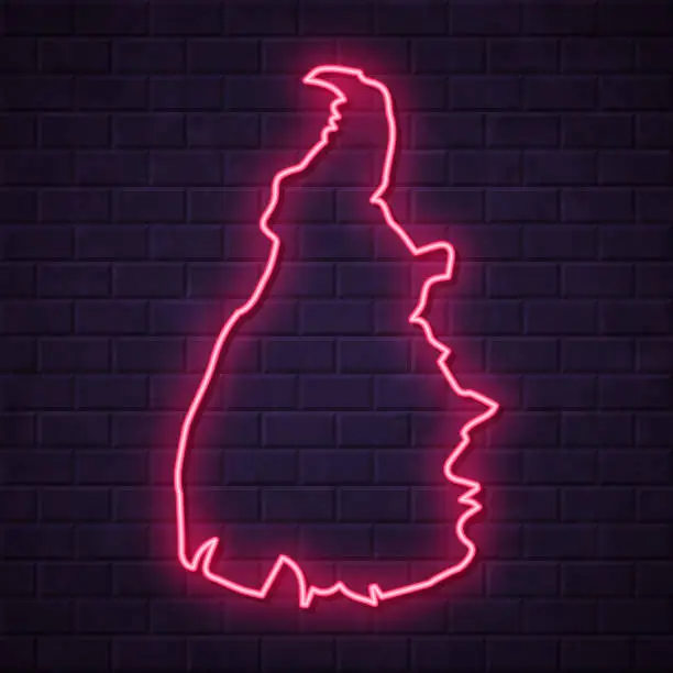 Vector illustration of Tocantins map - Glowing neon sign on brick wall background
