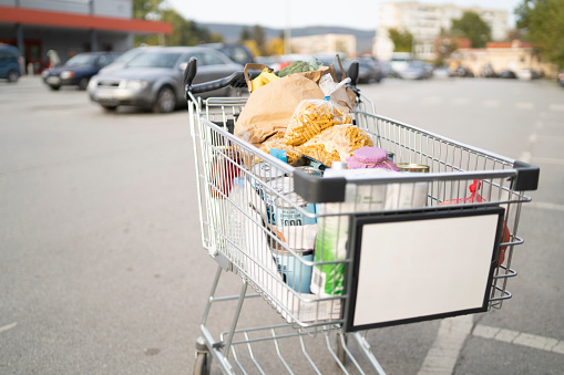 Shopping cart with food and goods