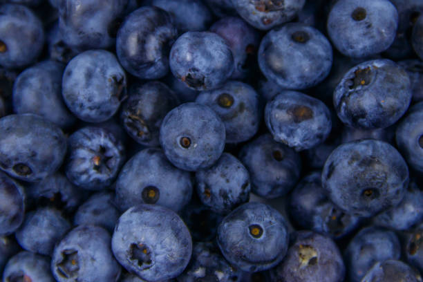 istock Background of the fresh blueberries 1283880726