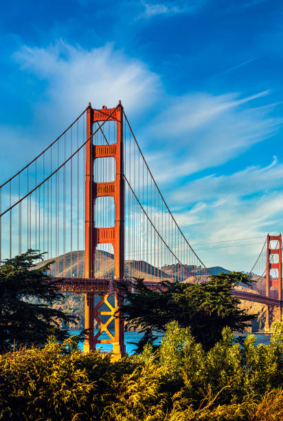 san francisco, usa - 1. januar 2017: blick auf die golden gate bridge von den marin headlands - golden gate bridge bridge weather california stock-fotos und bilder