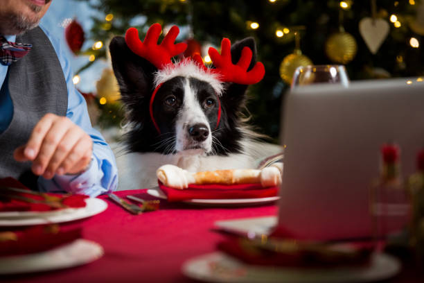 istock Mature man celebrating Christmas with his dog 1283883488