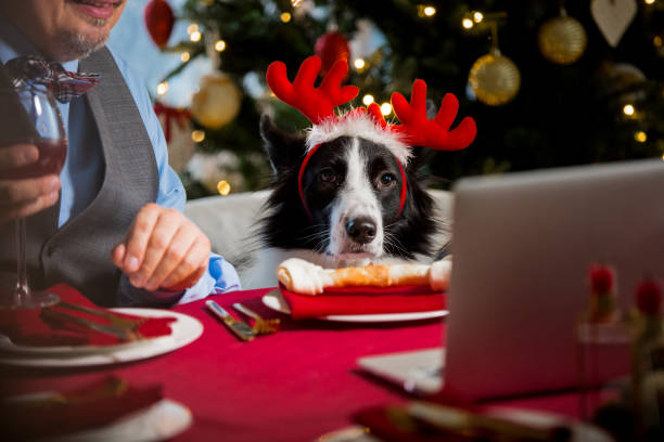istock Mature man celebrating Christmas with his dog 1283883489